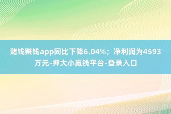 赌钱赚钱app同比下降6.04%；净利润为4593万元-押大小赢钱平台-登录入口